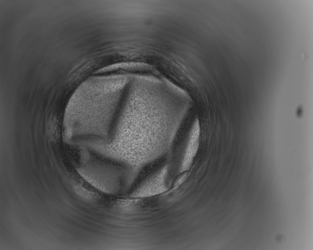X0000094380136200711242030
