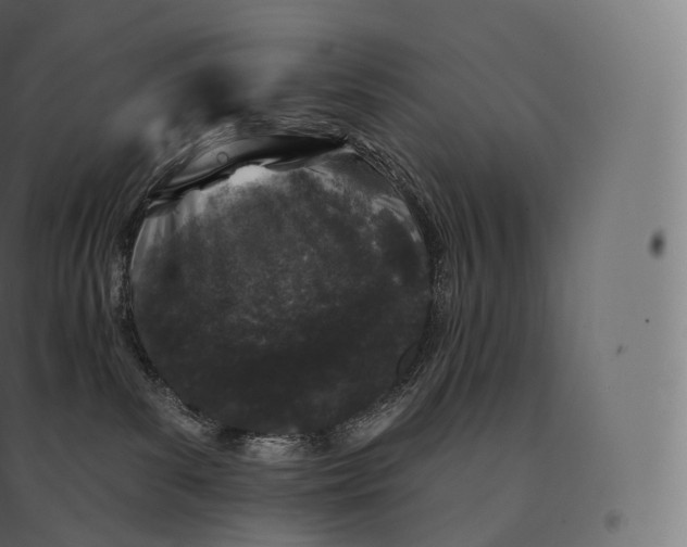 X0000094380139200711242030
