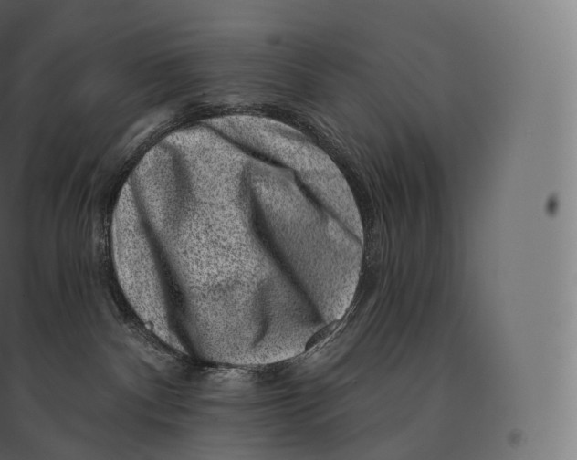 X0000094380140200711242030
