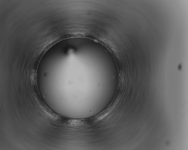 X0000094380141200711242030