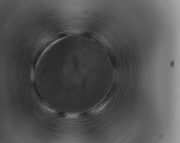X0000094380143200711242030