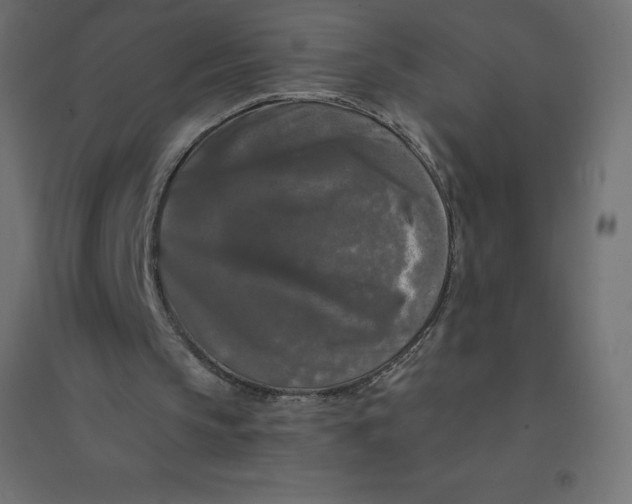 X0000094380145200711242030