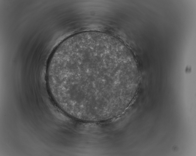 X0000094380146200711242030