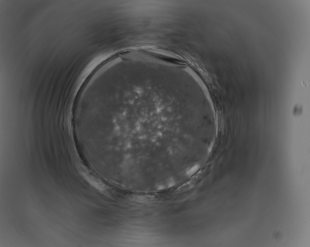 X0000094380147200711242030