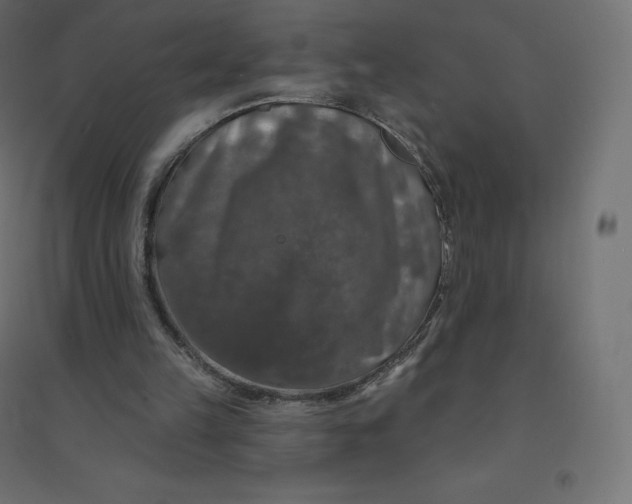 X0000094380149200711242030