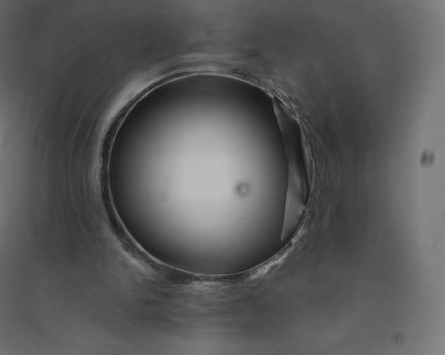 X0000094380150200711242030