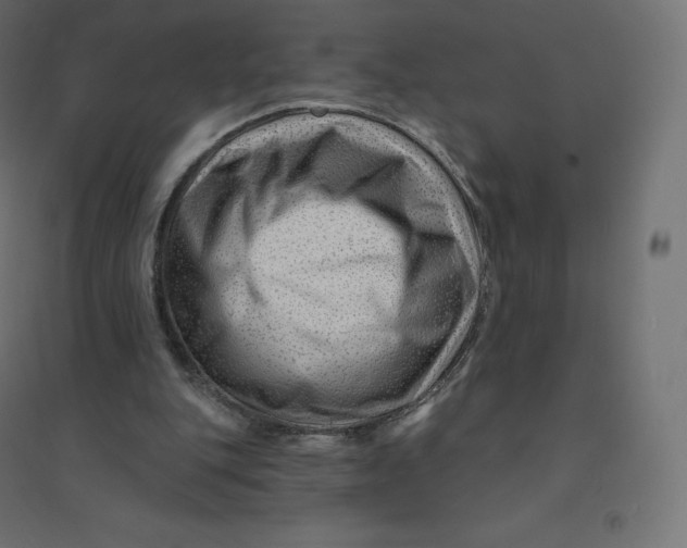 X0000094380151200711242030