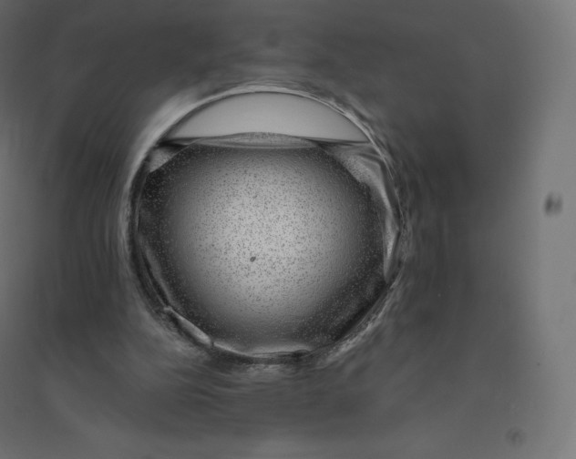 X0000094380152200711242030