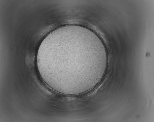 X0000094380153200711242030