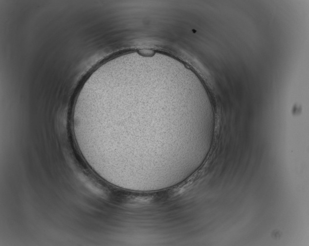 X0000094380155200711242030