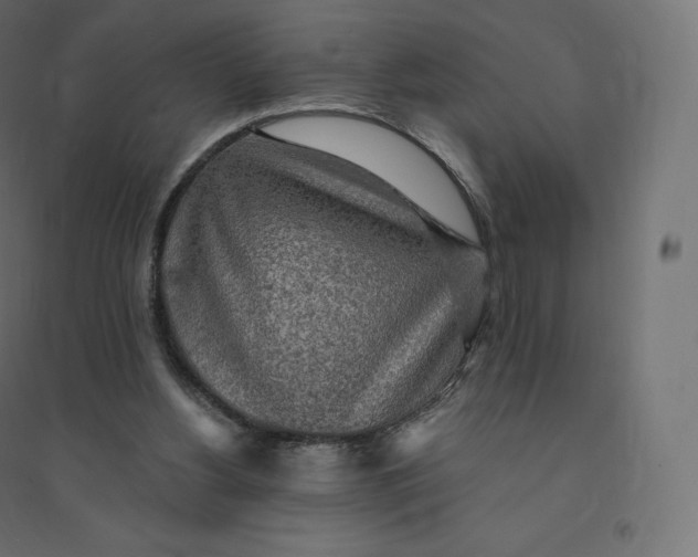 X0000094380156200711242030