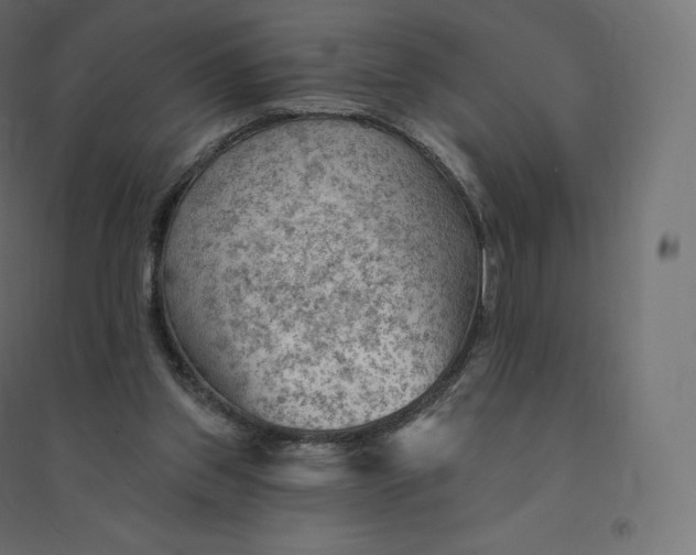 X0000094380157200711242030