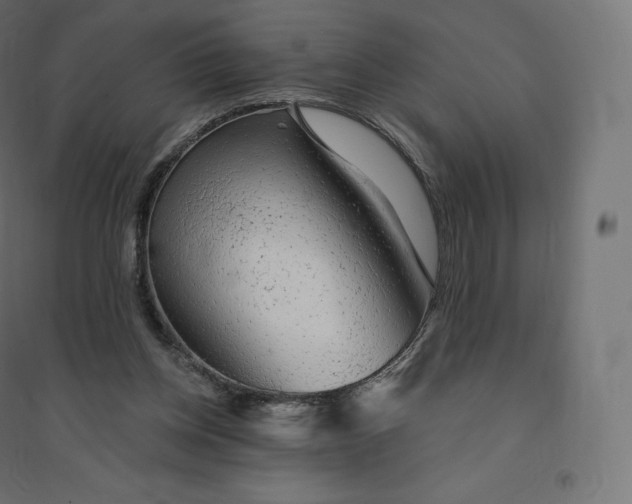 X0000094380158200711242030