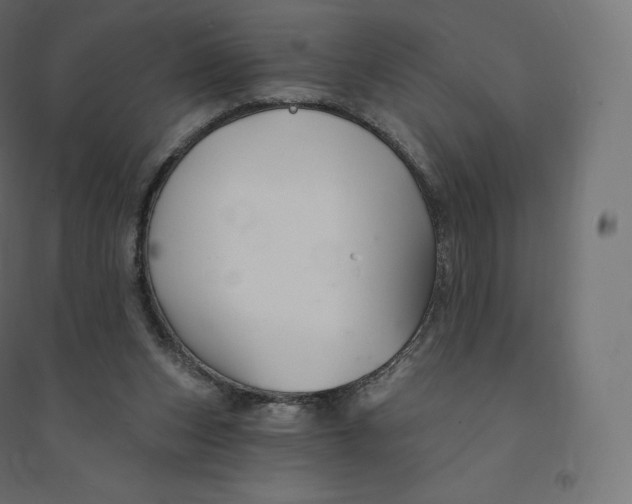 X0000094380159200711242030