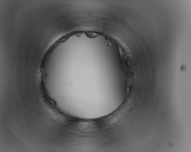 X0000094380160200711242030