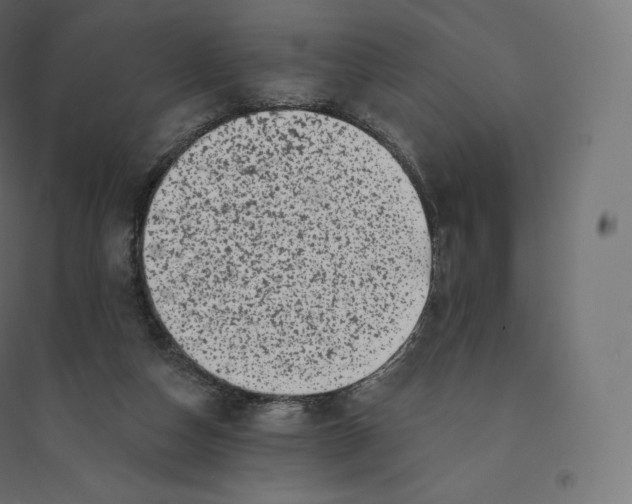 X0000094380162200711242030