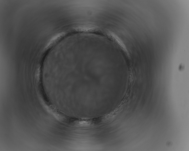 X0000094380163200711242030