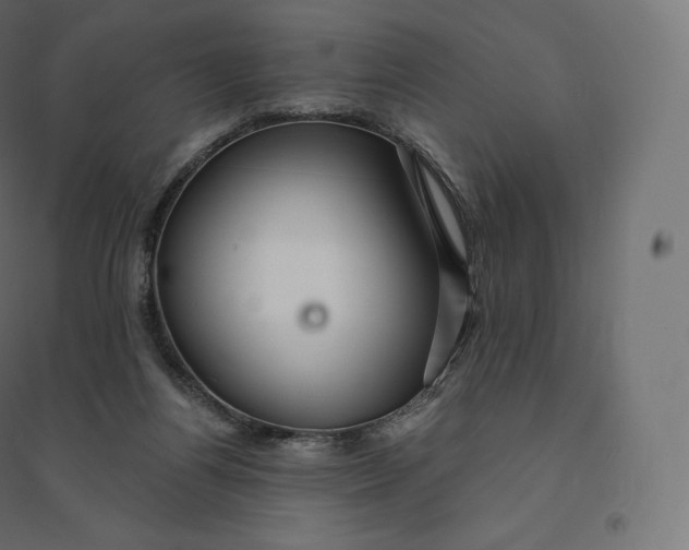 X0000094380164200711242030