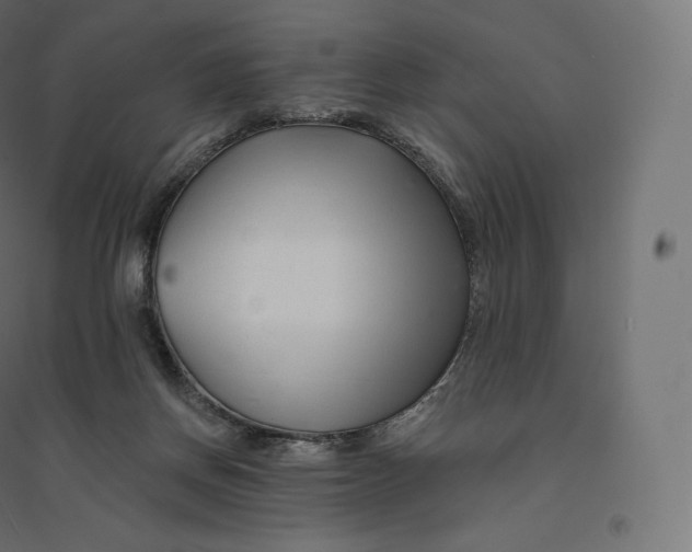 X0000094380166200711242030