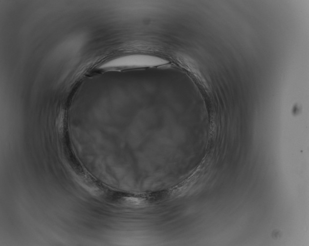 X0000094380167200711242030