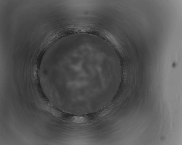 X0000094380169200711242030