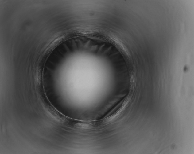 X0000094380170200711242030