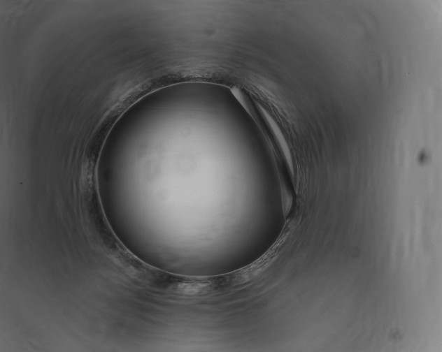 X0000094380172200711242030