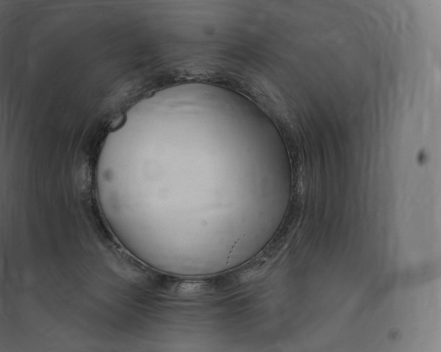 X0000094380173200711242030