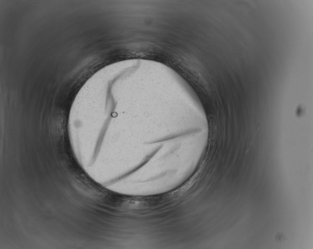 X0000094380174200711242030
