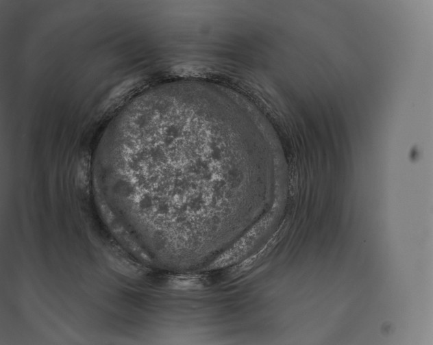 X0000094380175200711242030