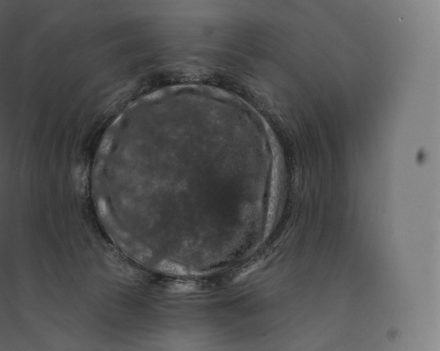 X0000094380177200711242030