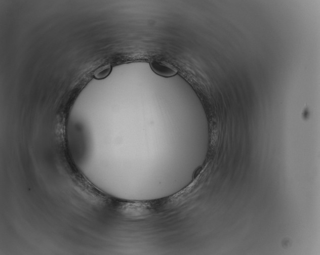 X0000094380179200711242030