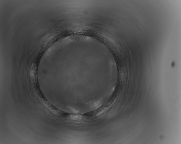 X0000094380181200711242030