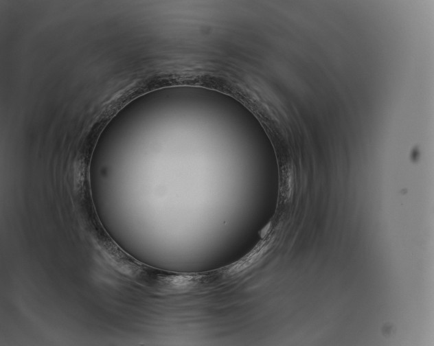 X0000094380184200711242030