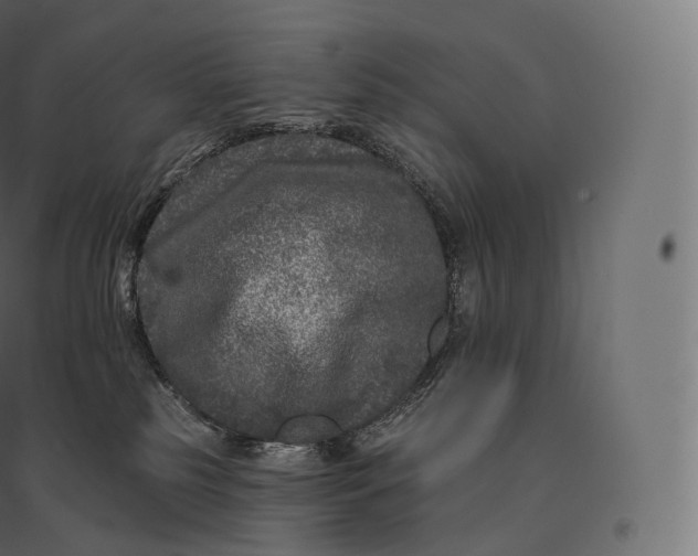 X0000094380185200711242030