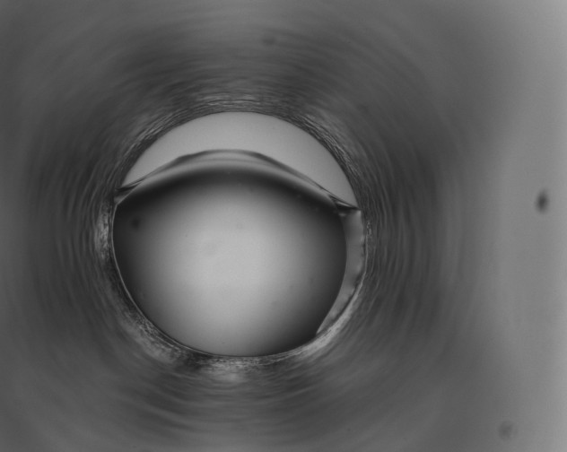 X0000094380190200711242030