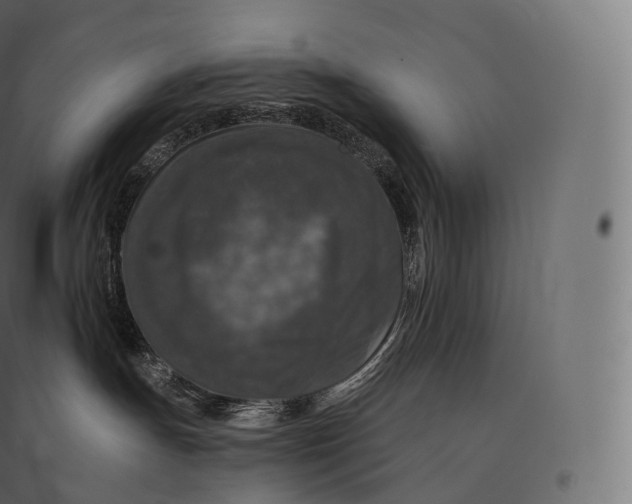 X0000094380191200711242030