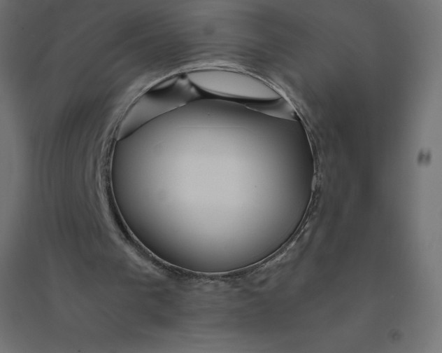 X0000094380193200711242030