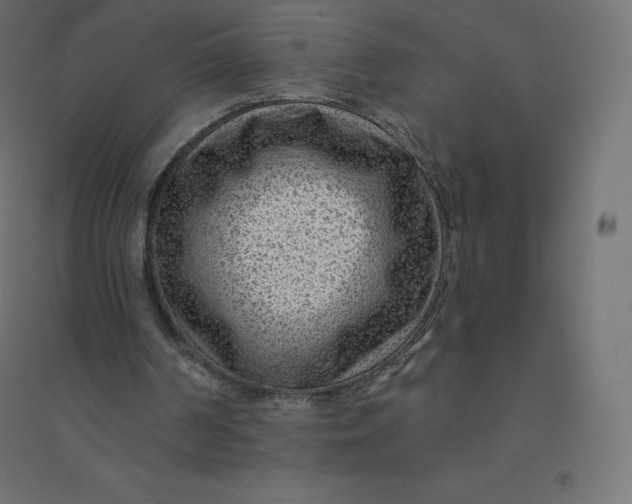 X0000094380194200711242030