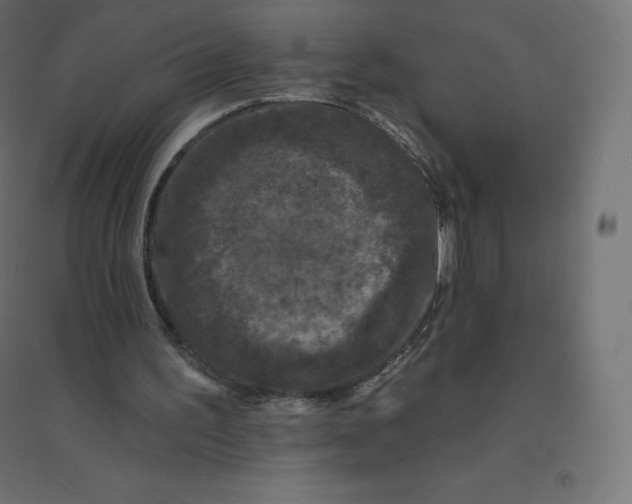 X0000094380195200711242030