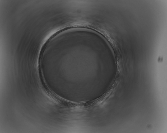X0000094380196200711242030