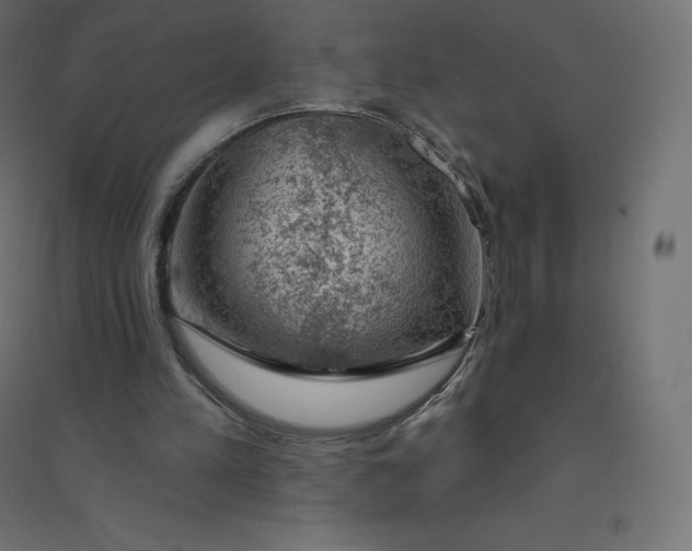 X0000094380197200711242030