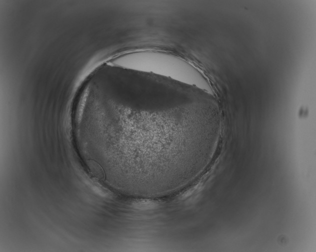 X0000094380198200711242030