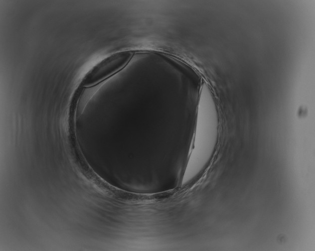 X0000094380200200711242029