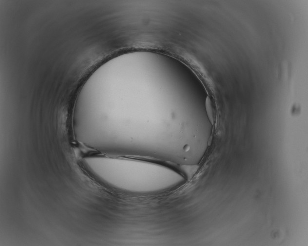 X0000094380201200711242029