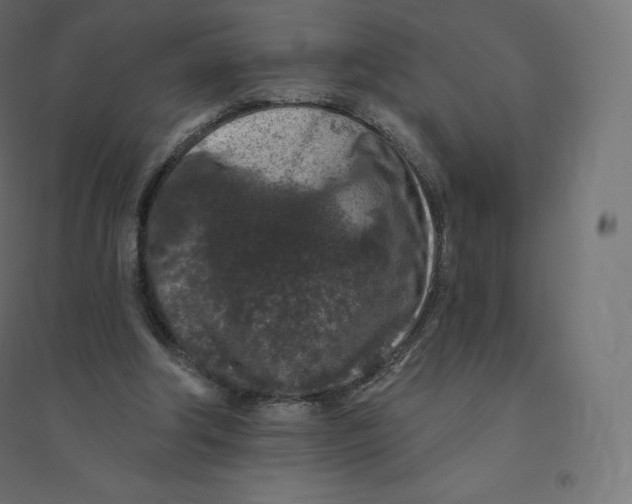 X0000094380202200711242029