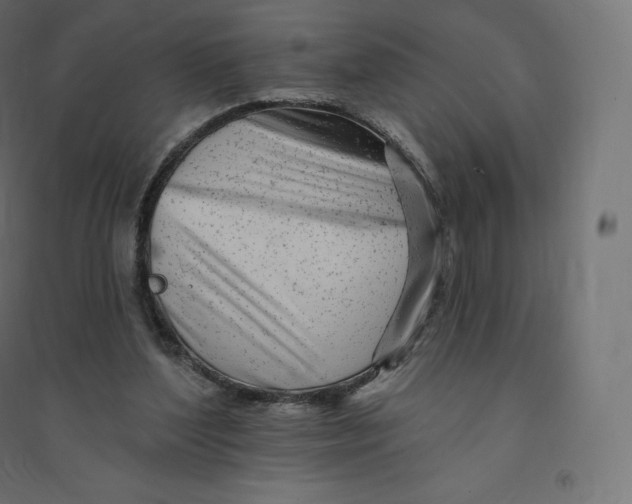 X0000094380204200711242029