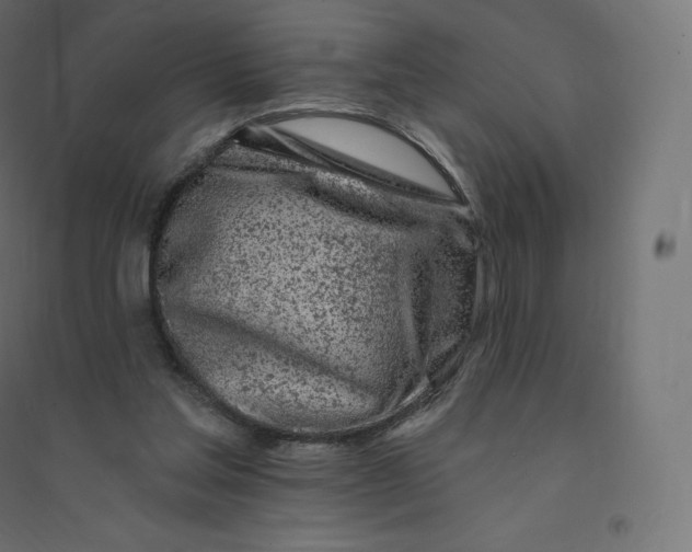 X0000094380205200711242029