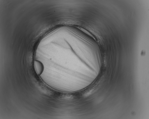 X0000094380206200711242029