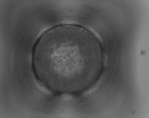 X0000094380207200711242029